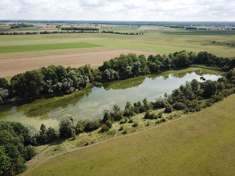 Luftaufnahme vom Alten Echinger See in Eching aus dem Jahr 2019