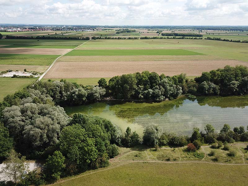 Luftaufnahme vom Alten Echinger See in Eching aus dem Jahr 2019