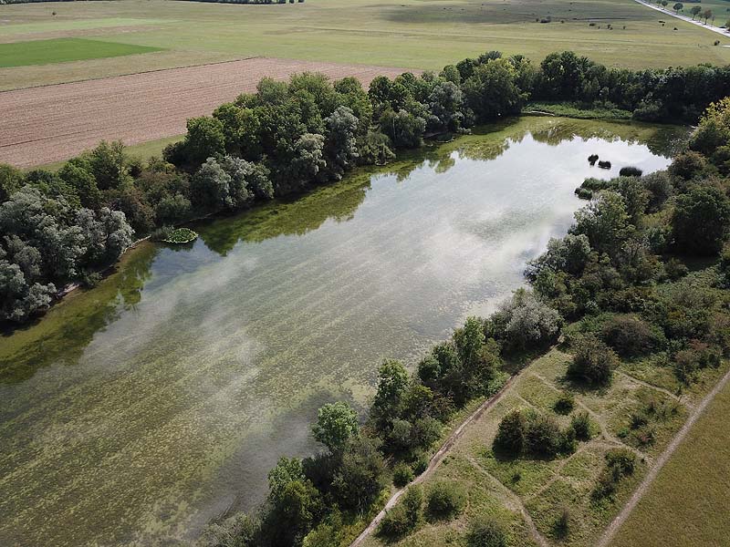 Luftaufnahme vom Alten Echinger See in Eching aus dem Jahr 2019