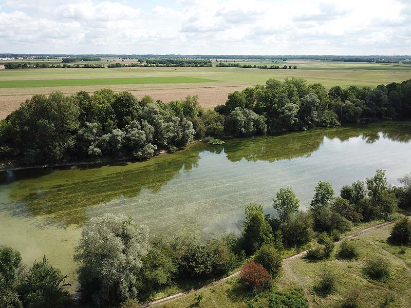 Luftaufnahme vom Alten Echinger See in Eching aus dem Jahr 2019