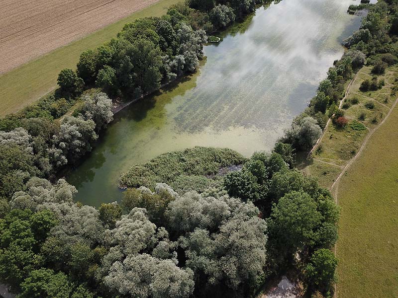 Luftaufnahme vom Alten Echinger See in Eching aus dem Jahr 2019