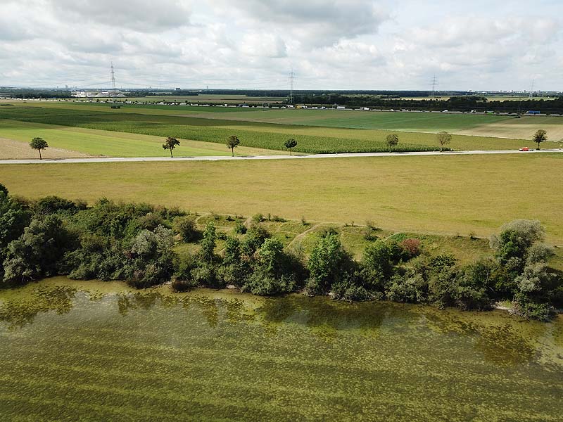 Luftaufnahme vom Alten Echinger See in Eching aus dem Jahr 2019