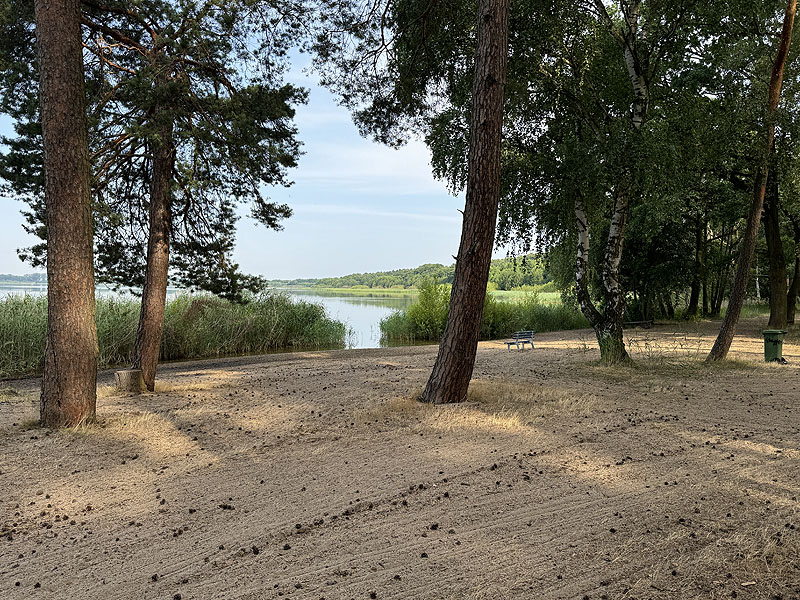 Der FKK Bereich am Arendsee in Arendsee (Altmark), Sachsen-Anhalt