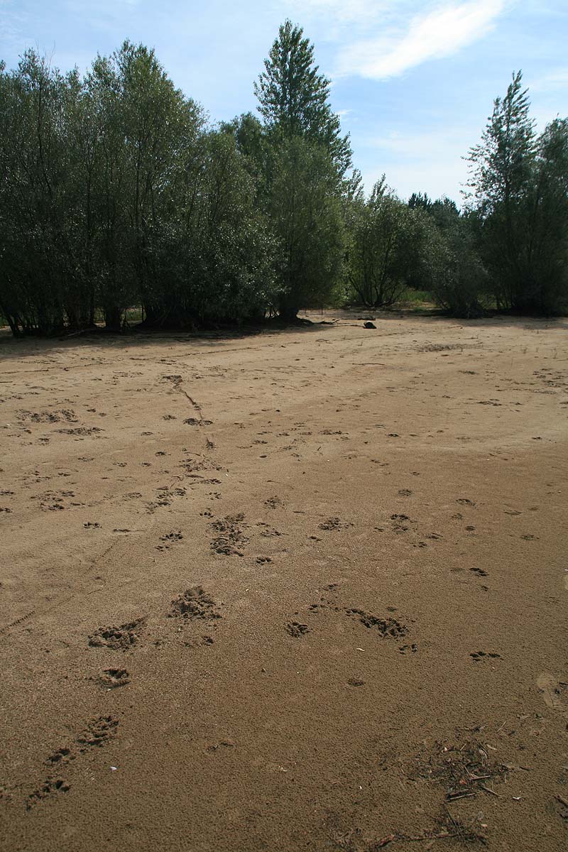 Campingplatz Bagenz (Bagenz, Brandenburg)