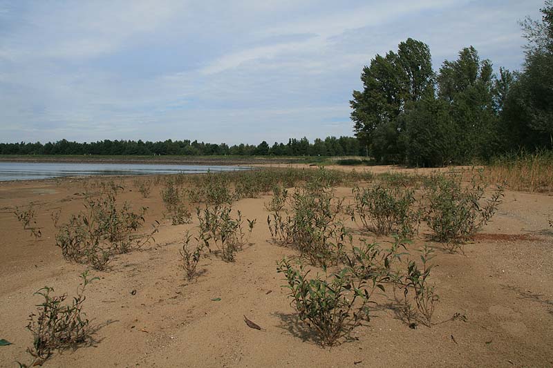 Campingplatz Bagenz (Bagenz, Brandenburg)