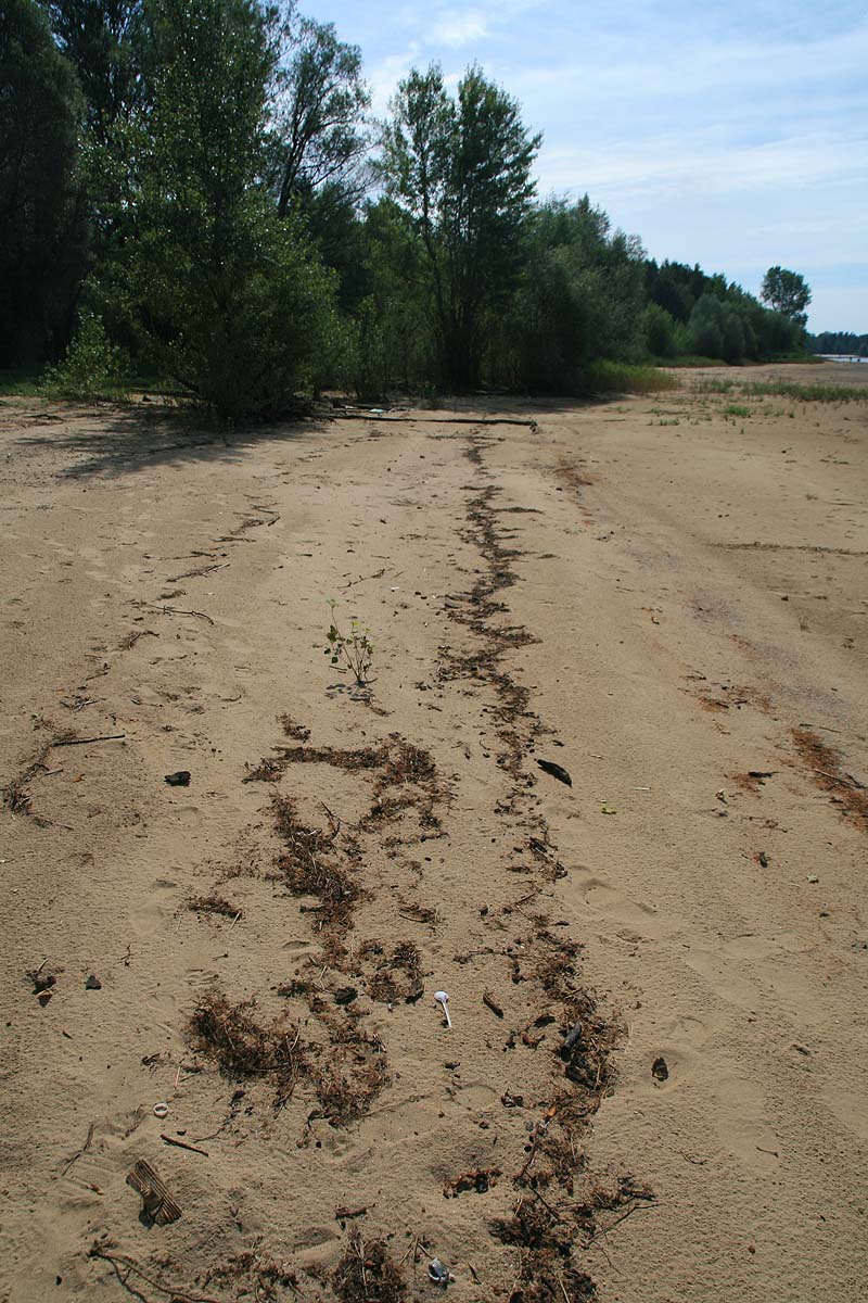 Campingplatz Bagenz (Bagenz, Brandenburg)