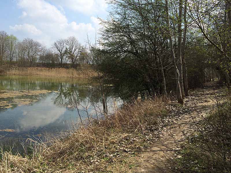 Alter Echinger See - Baggersee am Hart (Eching, Bayern)