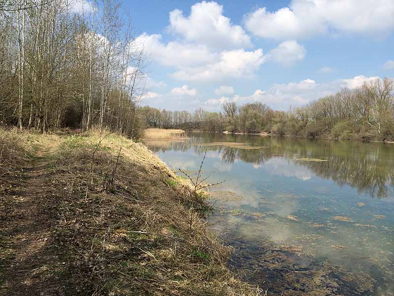 Alter Echinger See - Baggersee am Hart (Eching, Bayern)