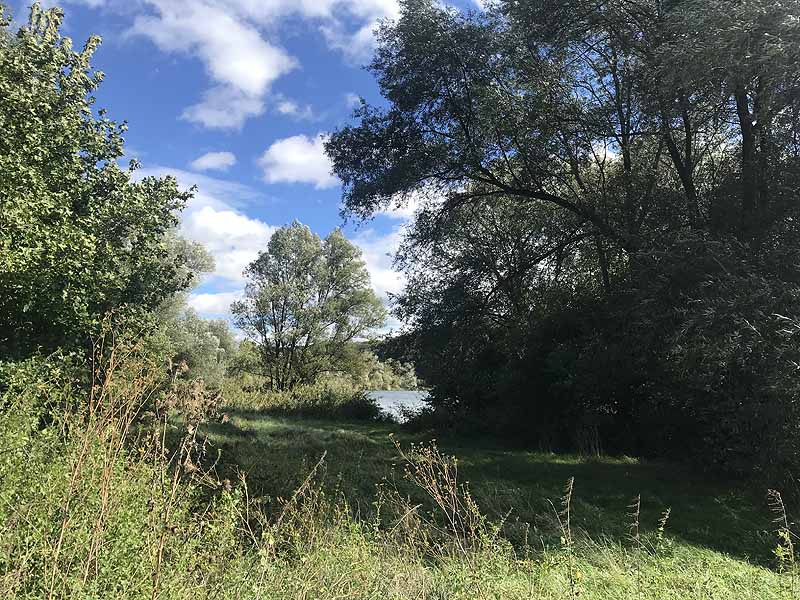 Baggersee Epple in Kirchentellinsfurt, Baden-Württemberg