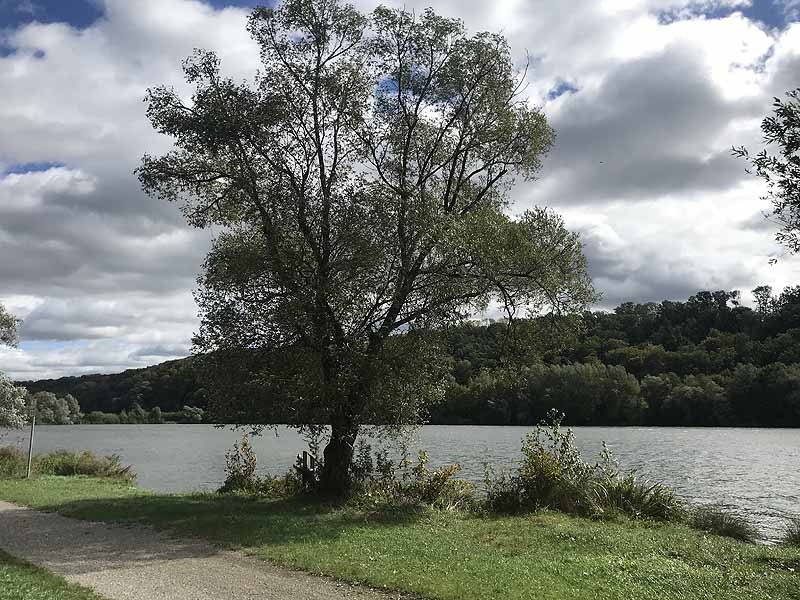 Baggersee Epple in Kirchentellinsfurt, Baden-Württemberg