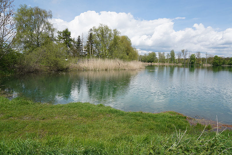 Der FKK Platz am Ersinger See in Erbach-Ersingen