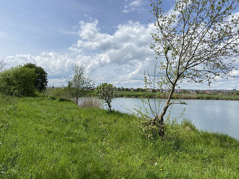 Der FKK Platz am Ersinger See in Erbach-Ersingen