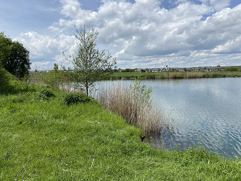 Der FKK Platz am Ersinger See in Erbach-Ersingen