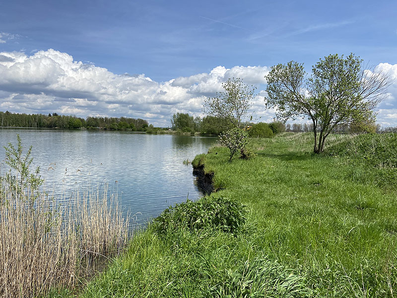 Der FKK Platz am Ersinger See in Erbach-Ersingen