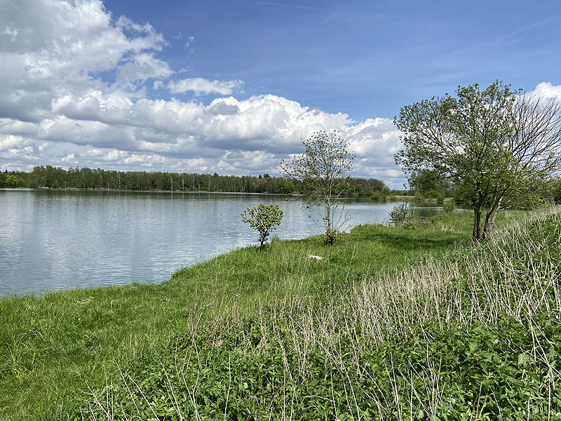 Der FKK Platz am Ersinger See in Erbach-Ersingen