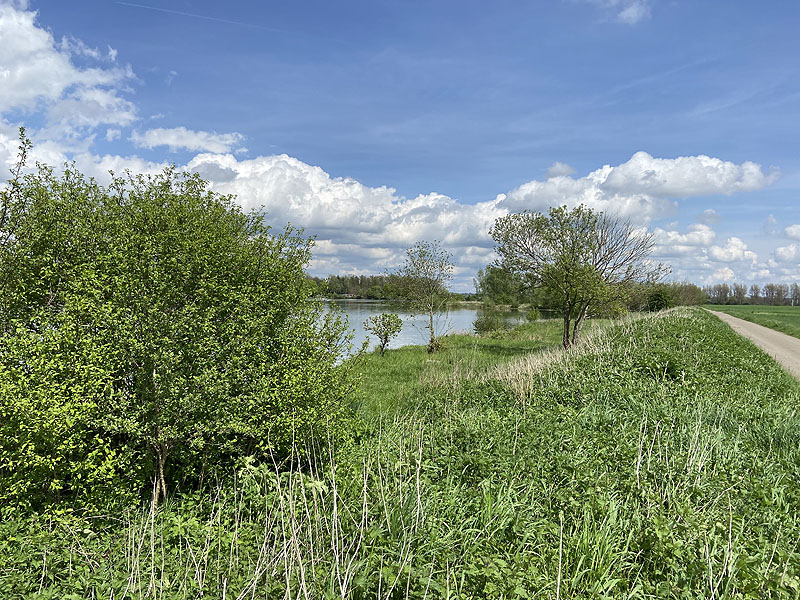 Der FKK Platz am Ersinger See in Erbach-Ersingen