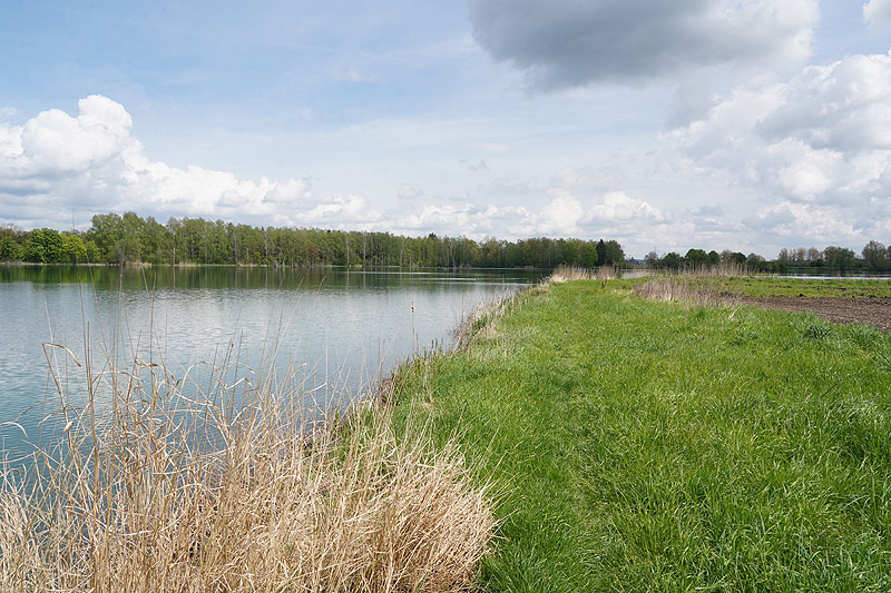 Der FKK Platz am Ersinger See in Erbach-Ersingen