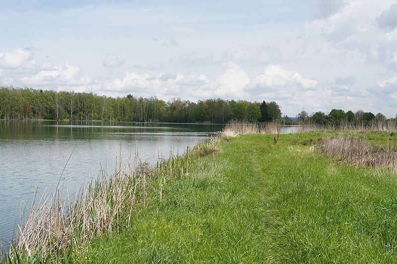 Der FKK Platz am Ersinger See in Erbach-Ersingen