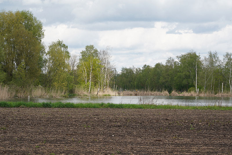 Der FKK Platz am Ersinger See in Erbach-Ersingen