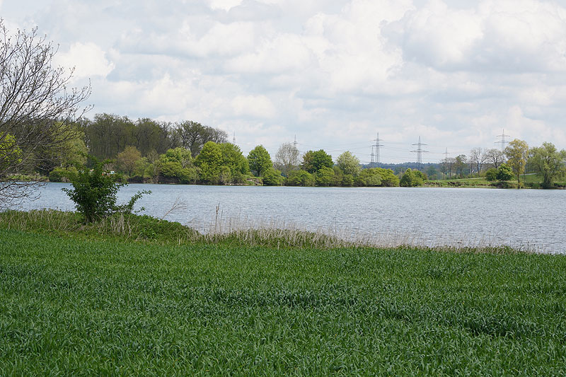 Der FKK Platz am Ersinger See in Erbach-Ersingen