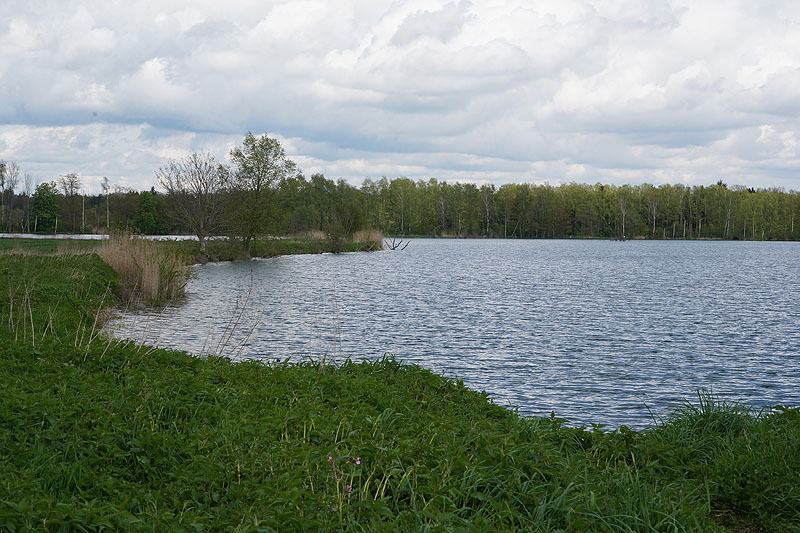 Der FKK Platz am Ersinger See in Erbach-Ersingen