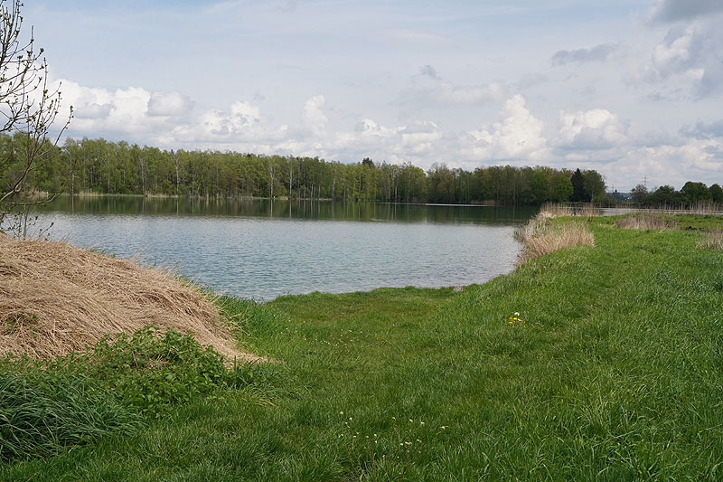 Der FKK Platz am Ersinger See in Erbach-Ersingen