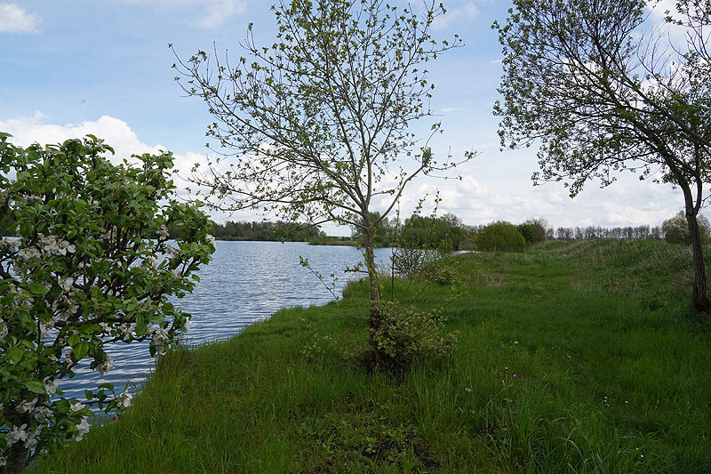 Der FKK Platz am Ersinger See in Erbach-Ersingen