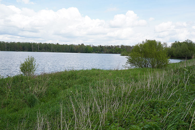 Der FKK Platz am Ersinger See in Erbach-Ersingen