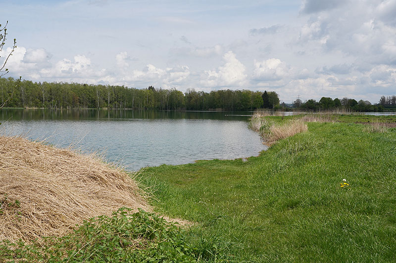 Der FKK Platz am Ersinger See in Erbach-Ersingen