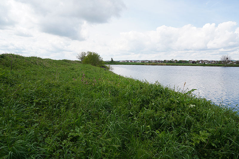 Der FKK Platz am Ersinger See in Erbach-Ersingen