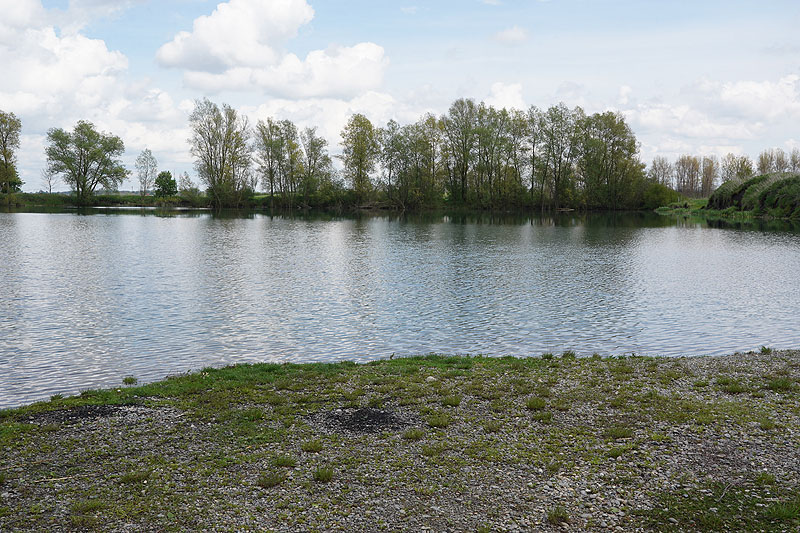 Der FKK Platz am Ersinger See in Erbach-Ersingen