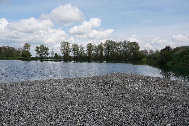 Der FKK Platz am Ersinger See in Erbach-Ersingen