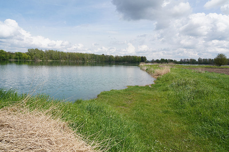 Der FKK Platz am Ersinger See in Erbach-Ersingen