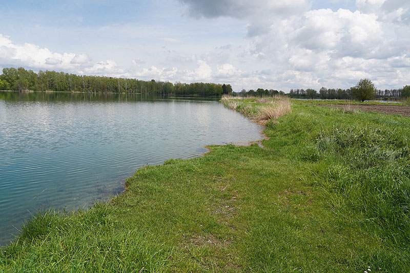 Der FKK Platz am Ersinger See in Erbach-Ersingen