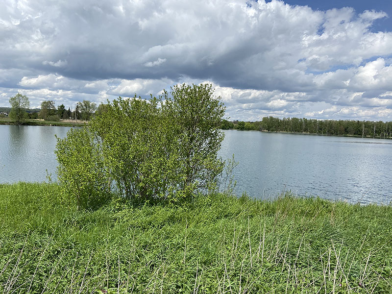 Der FKK Platz am Ersinger See in Erbach-Ersingen