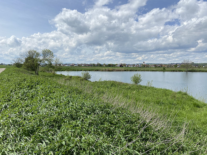 Der FKK Platz am Ersinger See in Erbach-Ersingen