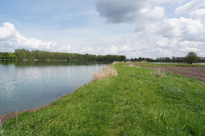 Der FKK Platz am Ersinger See in Erbach-Ersingen