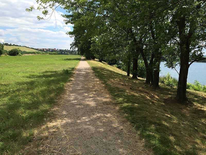 Baggersee Erfurt (Erfurt, Thüringen)
