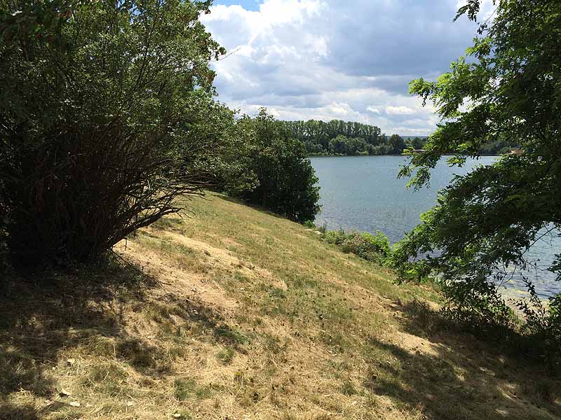 Baggersee Erfurt (Erfurt, Thüringen)