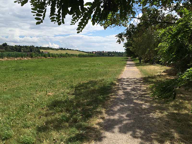 Baggersee Erfurt (Erfurt, Thüringen)