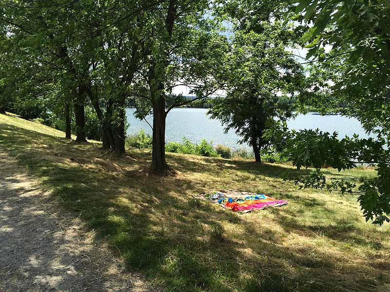 Baggersee Erfurt (Erfurt, Thüringen)