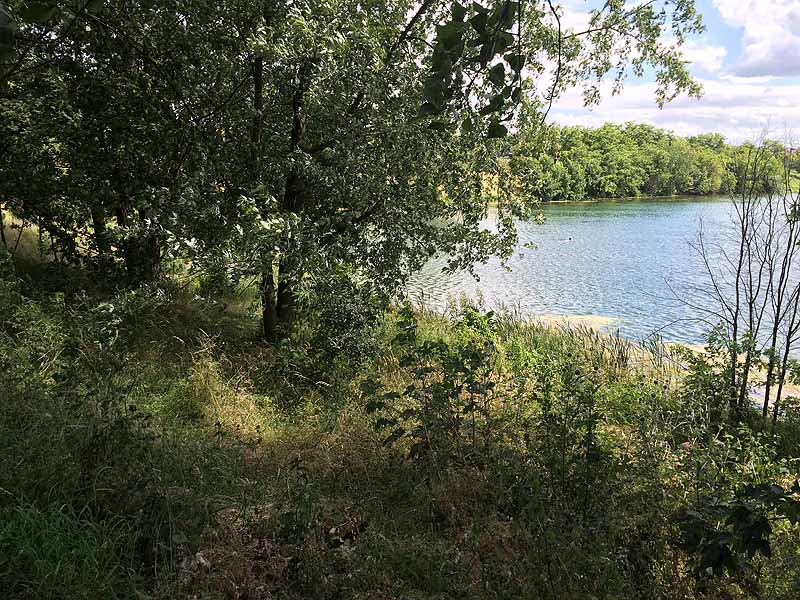Baggersee Erfurt (Erfurt, Thüringen)