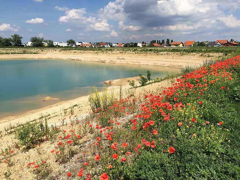 Begoniensee (Wiener Neustadt, Niederösterreich)