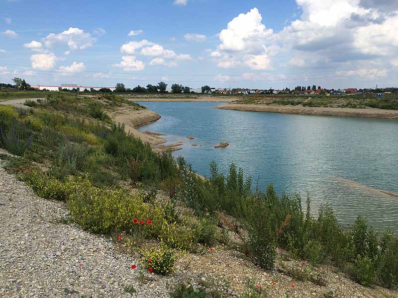 Begoniensee (Wiener Neustadt, Niederösterreich)