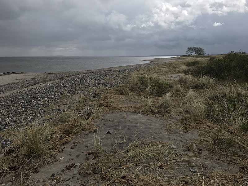 FKK-Strand (Behrensdorf, Schleswig-Holstein)