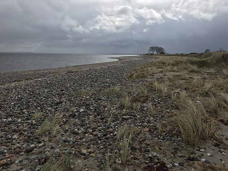 FKK-Strand (Behrensdorf, Schleswig-Holstein)