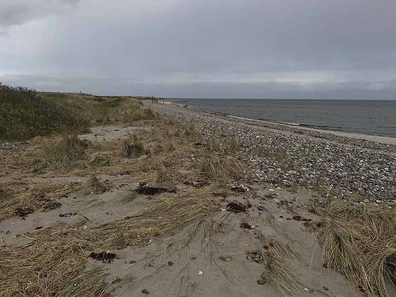 FKK-Strand (Behrensdorf, Schleswig-Holstein)