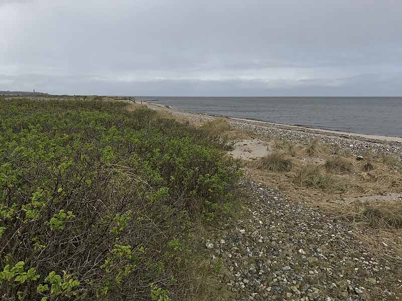 FKK-Strand (Behrensdorf, Schleswig-Holstein)