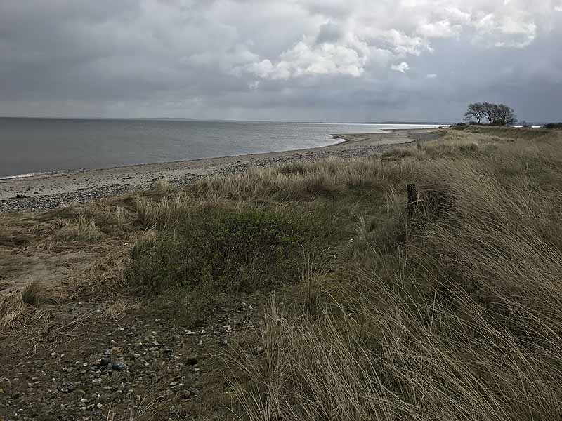 FKK-Strand (Behrensdorf, Schleswig-Holstein)