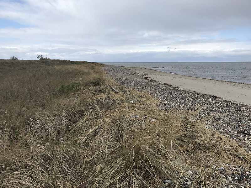 FKK-Strand (Behrensdorf, Schleswig-Holstein)